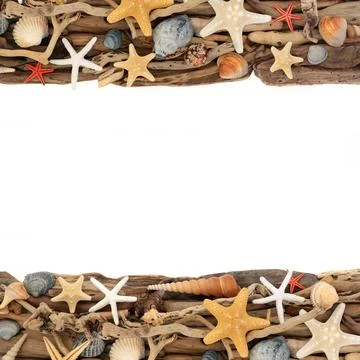 Sea Shell Driftwood Rustic Background Border Stockfoto's