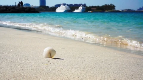 Sea shell on Dubai sandy beach, travel concept with cruise liner  Stock Footage 86297147