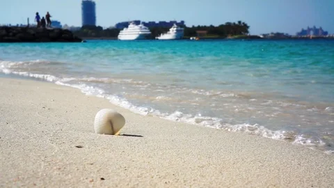 Sea shell on Dubai sandy beach, travel concept with cruise liner  動画素材 86297178