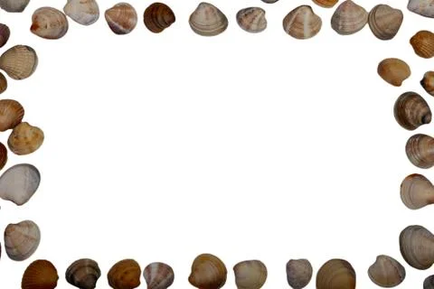 Sea shell frame isolated on white background Stock Photos