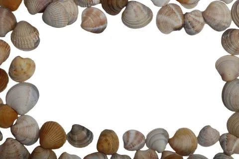 Sea shell frame isolated on white background Stock Photos