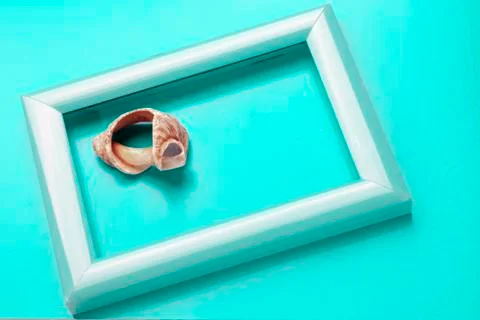 Sea shell in a frame Stockfoto's