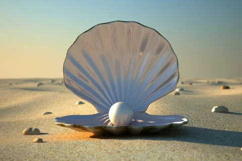 Sea Shell (Front) Video stock 663208
