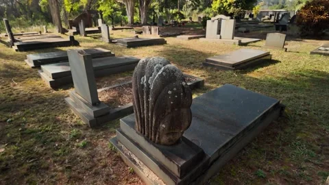 Sea Shell Gravestone in Old Peaceful Cemetery, Rise Reveal Crane shot Vídeo Stock 337291252