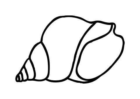 Sea shell hand drawn in thin line style Stock Illustration