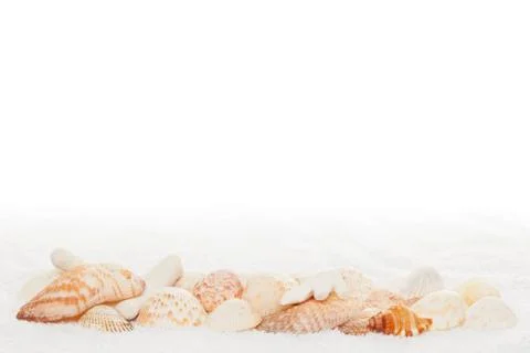 Sea shell horizontal border on white towel texture background Stock Photos