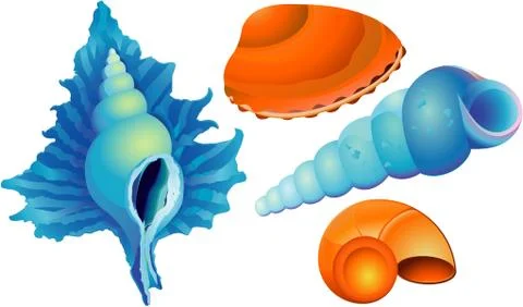 Sea shell Stock Illustration