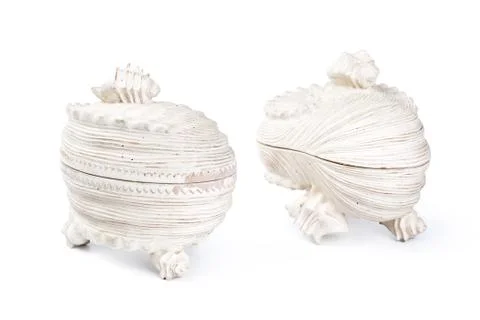 Sea shell interior decor isolated on white Stock Photos
