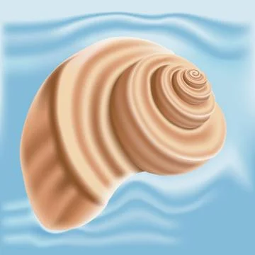 Sea shell isolated Stock Illustration