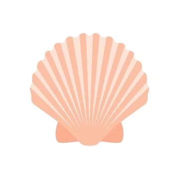 Sea shell isolated on white background vector Stock Illustration
