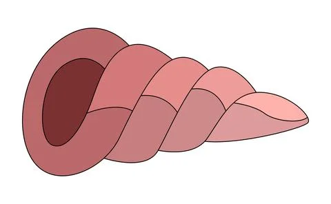 Sea shell isolated on a white background Stock Illustration