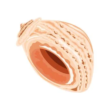 Sea shell marine Illustrazione stock