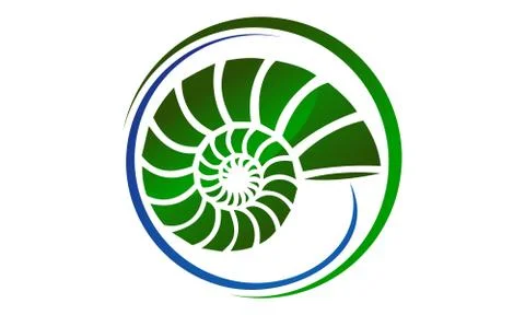 Sea Shell Modern Stock Illustration