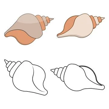 Sea shell outline and flat color illustrations Stockillustratie