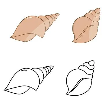 Sea shell outline and flat color illustrations Stock Illustration