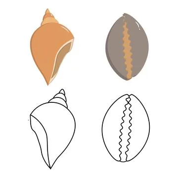 Sea shell outline and flat color illustrations Stockillustratie