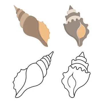 Sea shell outline and flat color illustrations Stock Illustration