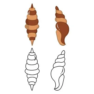 Sea shell outline and flat color illustrations Stock Illustration
