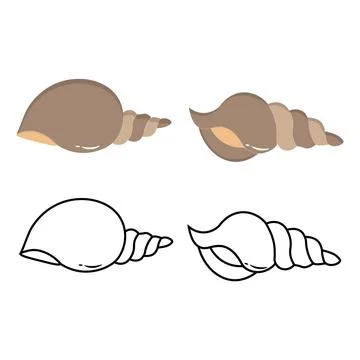 Sea shell outline and flat color illustrations Stock Illustration