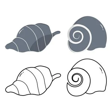 Sea shell outline and flat color illustrations Stock Illustration