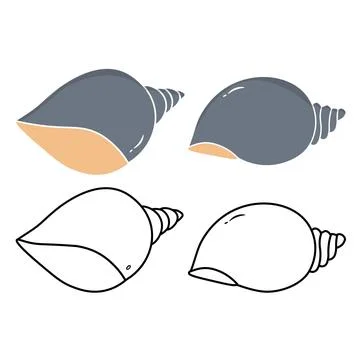 Sea shell outline and flat color illustrations Stock Illustration