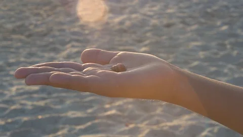 Sea shell in the palm of your hand Stock Footage 94482761
