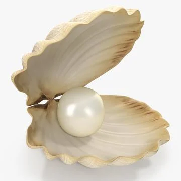 Sea Shell With Pearl 3D Model