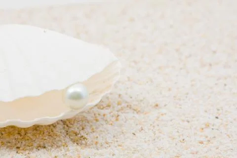 Sea shell with pearl Foto stock