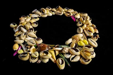 Sea Shell Stock Photos