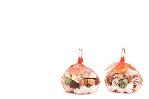 Sea shell in red net on white background Stock Photos