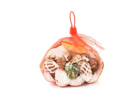 Sea shell in red net on white background Foto stock