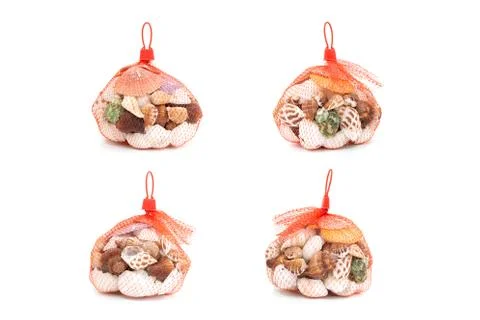Sea shell in red net on white background 스톡 사진