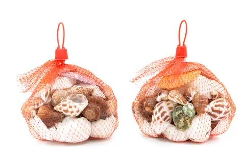 Sea shell in red net on white background Stock Photos