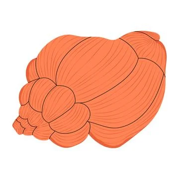 Sea shell. Seashell, marine underwater mollusc. Stock Illustration