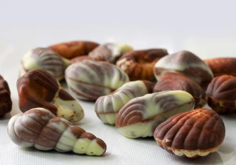 Sea shell shaped assorted belgian chocolates in white background.close up mac Stock Photos