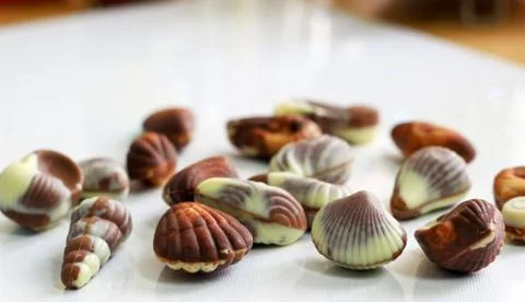 Sea shell shaped assorted belgian chocolates in white background.close up mac Stock Photos