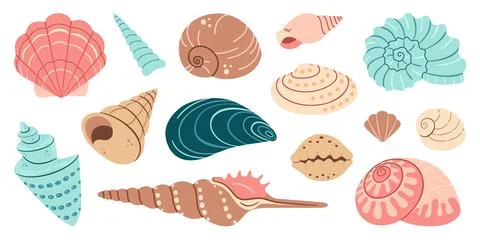 Sea shell, sink cartoon set. flat design illustration Stock Illustration