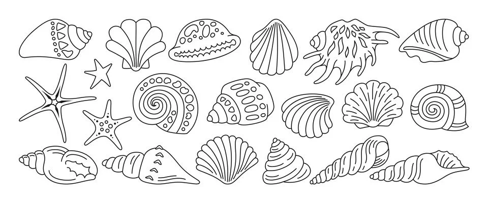 Sea shell sink linear doodle set ocean exotic underwater conch aquatic mollusk Stock Illustration
