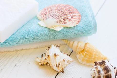 Sea shell spa concept Stock Photos