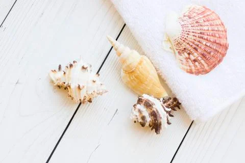 Sea shell spa concept Stock Photos