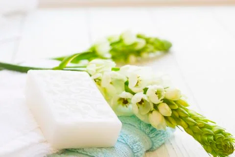 Sea shell spa concept Stock Photos