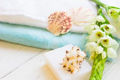 Sea shell spa concept Stock Photos