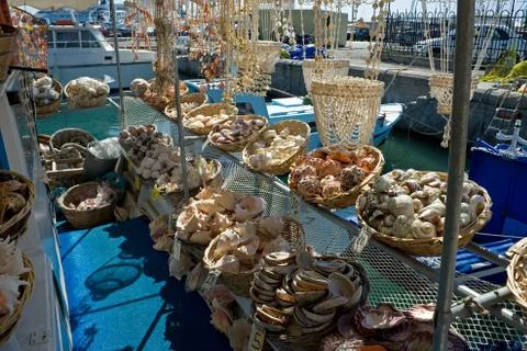Sea shell store Stock Photos