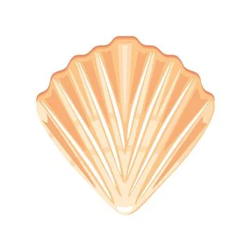 Sea shell vector icon イラスト素材