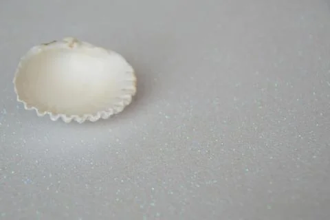 Sea shell on a white background made of glitter Foto stock