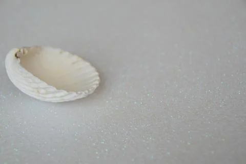 Sea shell on a white background made of glitter Stock-Fotos