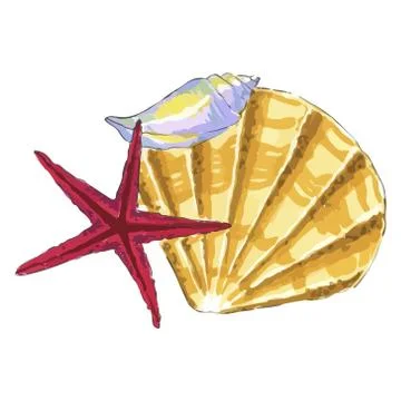 Sea shell in yellow and red colors Stock Illustration