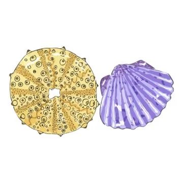 Sea shell in yellow and violet colors Stock Illustration