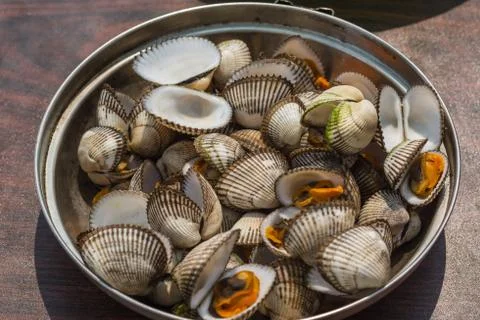 Sea shellfish cooked at a campfire on the beach Stock Photos