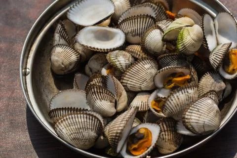 Sea shellfish cooked at a campfire on the beach Stock Photos